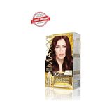 Palmira Demir Serisi 24K Altın Parçacıklı Serum ile 1 Kutu 2 x 50 ml ve Geliştiriciler Saç Boyası (Kestsane Kızılı 4.6)