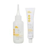 Palmira Demir Shake Eko Kit Saç Boyası 6e (0.5 G)