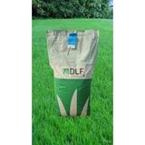 Palmiye Lollium Perenne Çim Tohumu 1Kg