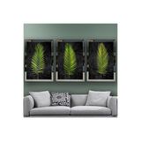 Palmiye Yaprağı Temalı Aynalı Çerçeveli 3 Lü Kanvas Tablo Seti 150x70 Cm SETS0006