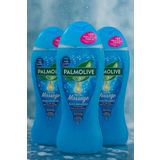 Palmolive DUŞ JELİ FEEL THE MASSAGE 500 ML 3 ADET