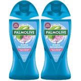 PALMOLIVE Feel The Massage Duş Jeli 250ml (2 paketi)