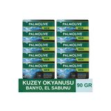 Palmolive MEN NORTHERN OCEAN CANLANDIRICI BANYO, EL SABUNU 4İN1 90GR (10 ADET)