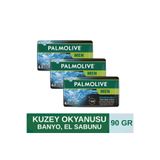 Palmolive MEN NORTHERN OCEAN CANLANDIRICI BANYO, EL SABUNU 4İN1 90GR (3 ADET)