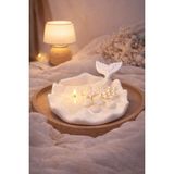 Pam Candle Sedef Deniz Kabuğu Dekoratif Mum | El Yapımı Soya Wax Ev, Stüdyo & Spa Mumu (Okyanus Kokulu) - Beyaz