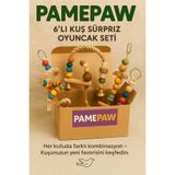 PAMEPAW 8’li Kuş Oyuncak Seti Doğal Sürpriz Keşif Kutusu