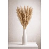 Pampas Otu 10’lu Demet | 80–110cm Uzun Boy | Doğal Kurutulmuş Pampas Çiçeği | Ev & Salon Dekoru