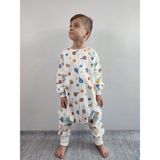 Pamuk Pazen Uzun Kollu Bebek Çocuk Uyku Tulumu Mavi Ev Desenli 20-24 Derece - 6 Yaş - Mavi & Beyaz