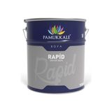 Pamukkale 1402 60-70 Gloss 15 kg Ral 6037 Yeşil Rapid Endüstriyel Boya