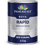 Pamukkale 1402 Rapid Endüstriyel Boya 60-70 Gloss 2.5 kg Ral 6009 Köknar Yeşili - diğer