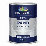 Pamukkale 1402 Rapid Endüstriyel Boya 60-70 Gloss 2.5 Kg Ral 6009 Köknar Yeşili