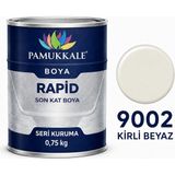 Pamukkale Arge Toptan Rapid Hızlı Kuruyan Metal Boyası Parlak 0.75 kg Kirli Beyaz Ral 9002 - KİRLİ BEYAZ-9002