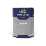 Pamukkale Rapid Beyaz 0.75 kg Endüstriyel Boya