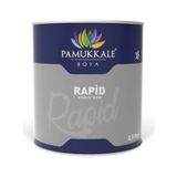 Pamukkale Rapid Turuncu 2.5 kg Boya