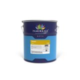 Pamukkale Yaldız Boya Altın 200 Derece Isı Geçirmez 0.75 Lt