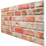 Pan Dekor 5 Adet (2,5m2) Tuğla Desenli 3 Boyutlu Renkli Strafor Köpük Duvar Kaplama Paneli (BR-514)