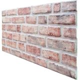 Pan Dekor 5 Adet (2,5m2) Tuğla Desenli 3 Boyutlu Renkli Strafor Köpük Duvar Kaplama Paneli (BR-554)