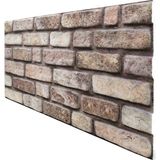 Pan Dekor Renkli Tuğla Desenli 3 Boyutlu Strafor Köpük Duvar Kaplama Paneli 5 Adet (2,5m2) (BR-559)