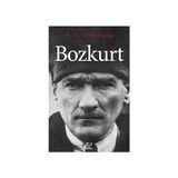 Panama Yayıncılık Bozkurt + Top Oynayan Kedi Mağazası - Hasan Ali Yücel Klasikler - Hayır