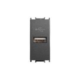Panasonic Viko Panasonic Modüler Füme USB Konnektör Alt+Kapak 1m - WVTT14194DG-TR