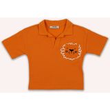 Panço Erkek Bebek Oranj Polo Yaka Tişört Kısa Kol Günlük Stil Örme Kumaş - Turuncu - 6 - 12 Ay