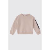 Panço Erkek Bebek Taş Sweatshirt