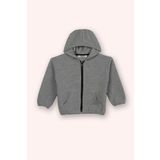 Panço Erkek Çocuk Fermuarlı Kapüşonlu Gri-Melanj Sweatshirt