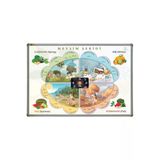 Panda 70X100 CM MEVSİMLER PORTRE TABLO PANO (Alüminyum Çerçeve) MEYVELİ-PAN512