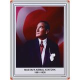 Panda ATATÜRK PORTRESİ (Alüminyum Çerçeveli) - 35x50cm