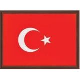 Panda Turk Bayragı Mdf Cerceve 35X50