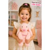 Pandamkee Kişiye Özel İsim Baskılı Uyku Arkadaşım Tavşan 35 cm Peluş Tavşan