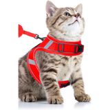 Pandogo Kedi Tasması Göğüs Gezdirme Tasması Uzun Sevk Kayışlı S Beden