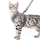 pangdi Kedi Koşum Takımı ve Tasma Seti Kaçış Korumalı Taktik Ekstra Büyük Yavru Kedi Koşum Duygusal Destek Kedi Yelek, Gri, XL