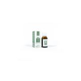 Panlife 15 ml Okaliptus Yağı