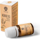 Panlife Akgünlük Yağı 10 Ml