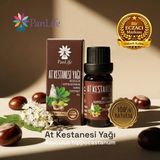 Panlife At Kestanesi Yağı 10 ml %100 Saf Bitkisel Damar Bakım Desteği