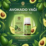 Panlife Avokado Yağı 10 ml – Soğuk Pres, Doğal Cilt & Saç Bakım Yağı (Eczacı Kuruluşudur)