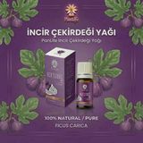 Panlife İncir Çekirdeği Yağı 10 ml Soğuk Sıkım %100 Saf & Doğal – Cilt ve Saç Bakım Yağı