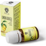 Panlıfe Limon Kabuğu Yağı 10 Ml %100 Saf Analiz Sertifikalı