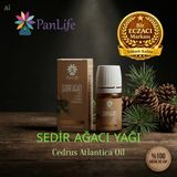 Panlife Sedir Ağacı Yağı 10 ml %100 Saf ve Doğal | Saç, Cilt ve Aromaterapi İçin Cedrus Yağı