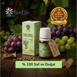 Panlife Üzüm Çekirdeği Yağı 10 ml Soğuk Sıkım %100 Doğal – Cilt ve Saç Bakım Yağı
