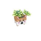 Panlos Mini Potted Plant Serisi Tilki Figürü 336 Parça Oyuncak Yapım Seti -FFP655016