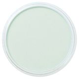 Panpastel No:620.8 Phthalo Green Tint Pastel Boya