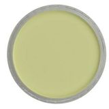 Panpastel No:680.8 Bright Yellow Green Tint Pastel Boya
