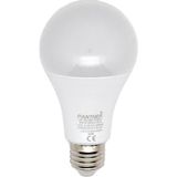 Panther Eco 8W Acil Durum Şarjlı LED Ampul - 1