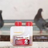 Pantonic 125 Ml Tavuk Civciv Kuş Güvercin Vitamin Aminoasit