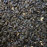 Papağan Çekirdek Yemi 1 KG Ufak Taneli
