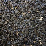 Papağan Çekirdek Yemi 500 Gr Ufak Taneli Ücretsiz Kargo