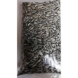 PAPAĞAN PARAKET ALACA ÇEKİRDEK 500 GR