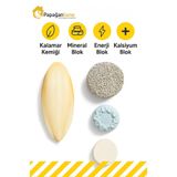 Papağanhane Muhabbet Kuşu ve Kanarya Gaga Vitamin Kalsiyum Mineral Enerji Blok Takviye Seti